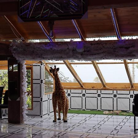 Hotel Al Azeem Ayubia Extérieur photo